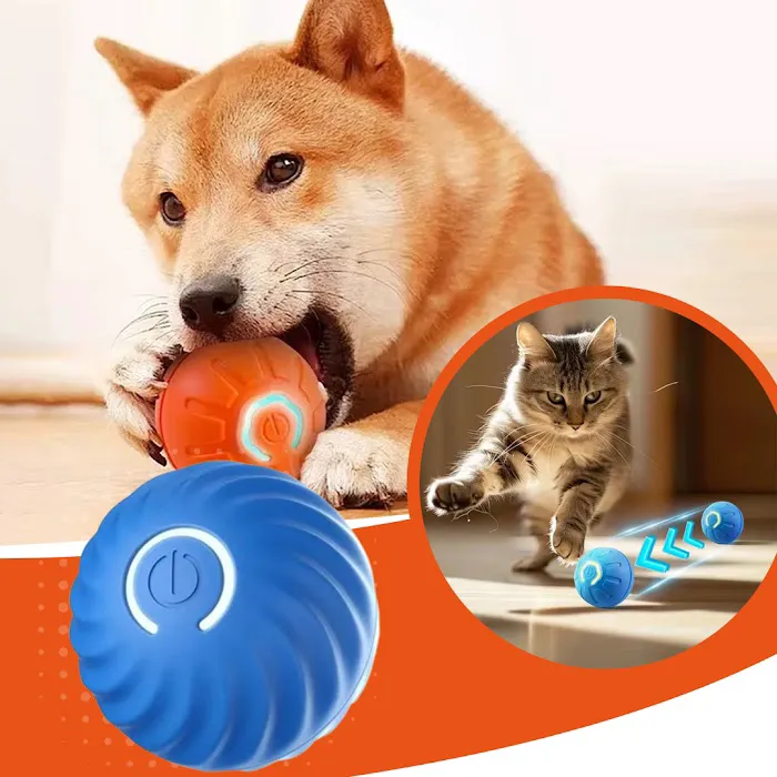 Paw-Approved Toys Picture 2