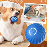 Paw-Approved Toys ico