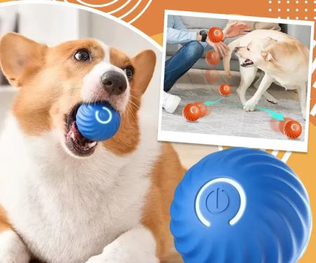 Paw-Approved Toys