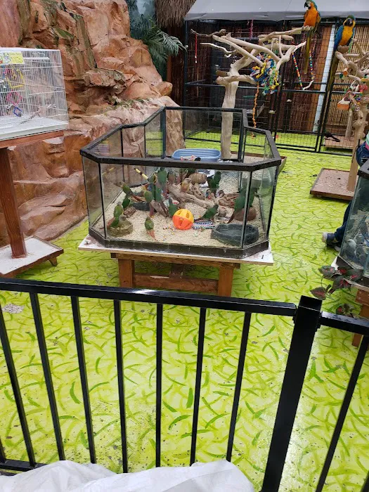 Polly's Pet Shop Picture 3