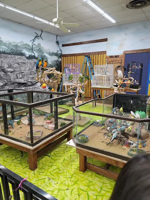 Polly's Pet Shop Picture 6
