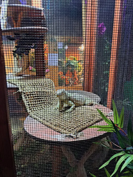 Polly's Pet Shop Picture 7