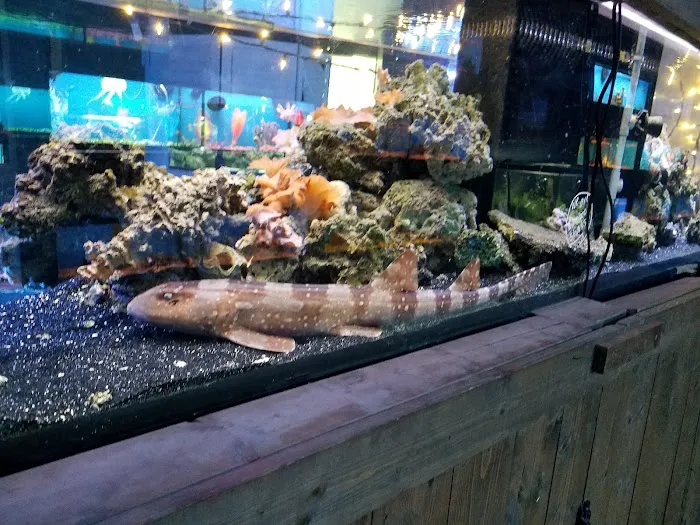 Polly's Pet Shop Picture 10