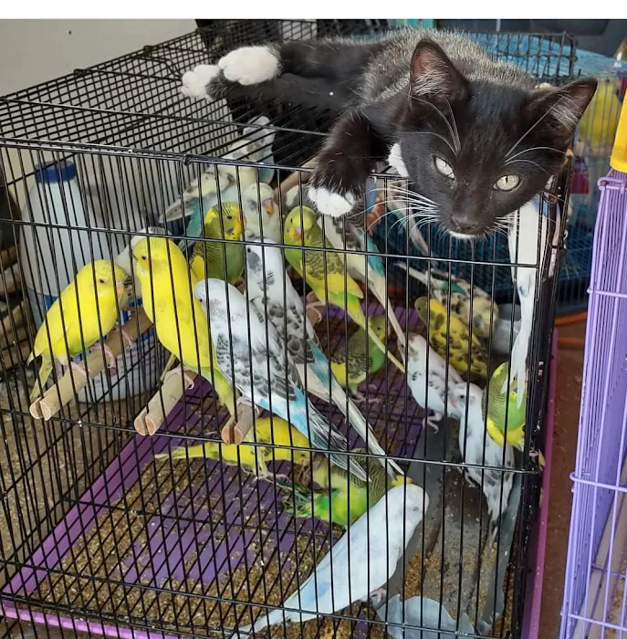 PARAKEET WORLD PET SHOP Picture 10