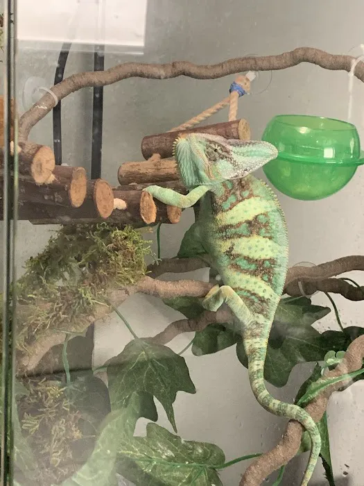 Reptile Pets Direct Picture 1