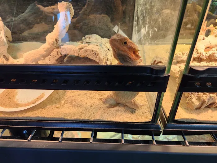 Reptile Pets Direct Picture 6