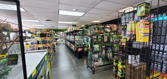 Reptile Pets Direct Picture 5