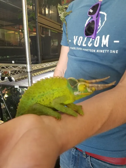Reptile Pets Direct Picture 3