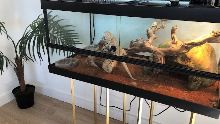 Reptile Pets Direct Picture 9