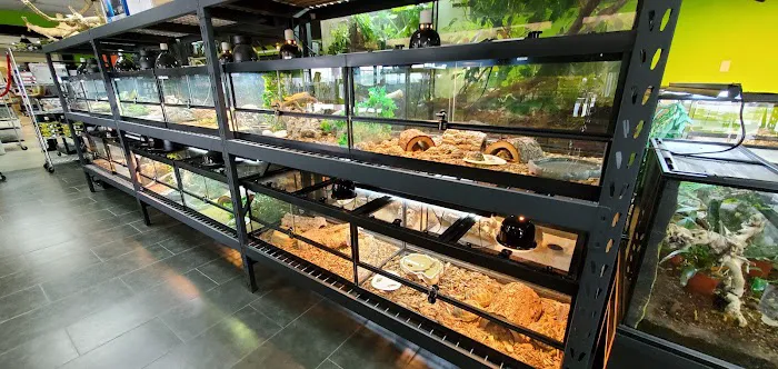 Reptile Pets Direct Picture 7