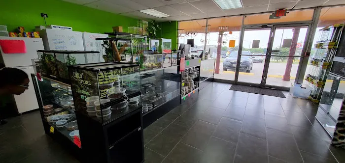 Reptile Pets Direct Picture 8