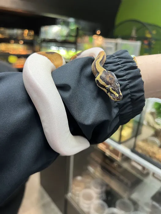 Reptile Pets Direct Picture 10