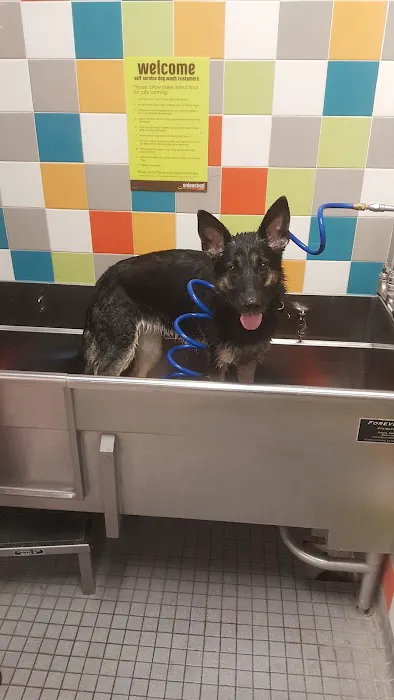Petco Picture 2