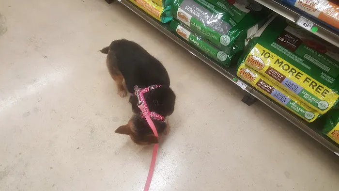 Petco Picture 4