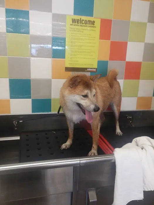 Petco Picture 3