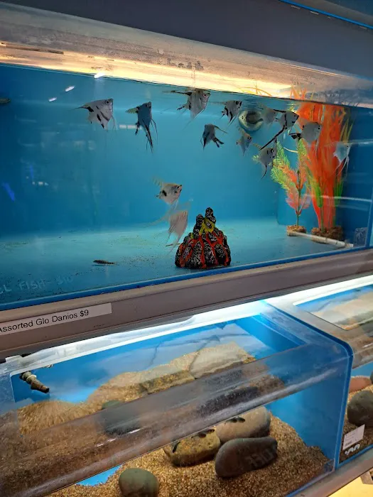 Salty Fish Aquariums Picture 1