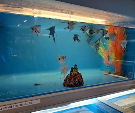 Salty Fish Aquariums
