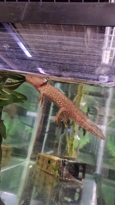 Salty Fish Aquariums Picture 3