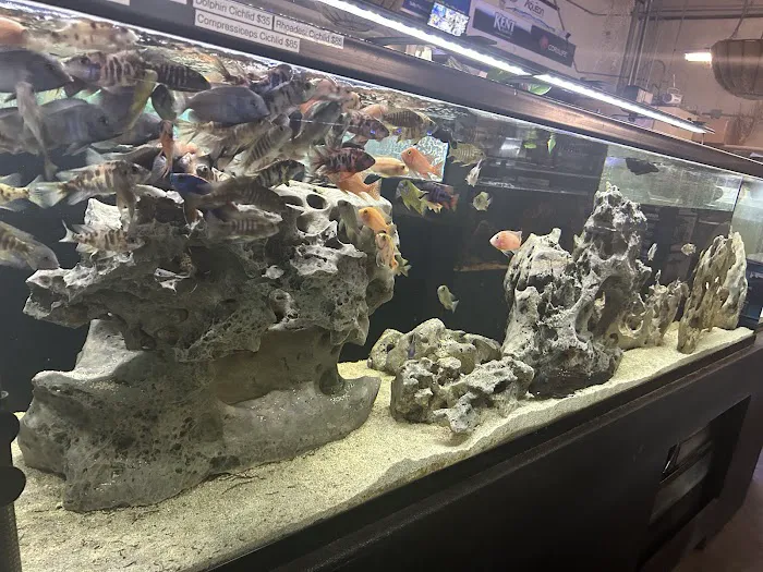 Salty Fish Aquariums Picture 5