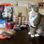Healthy Paws & Co. Formerly Oli’s Pet Stuff