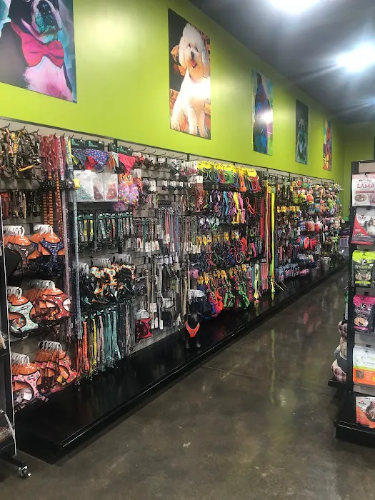 Healthy Paws & Co. Formerly Oli’s Pet Stuff Picture 5