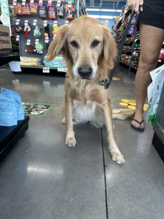 Pet Supplies Plus San Antonio - Bulverde Picture 1