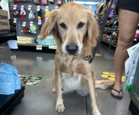 Pet Supplies Plus San Antonio - Bulverde