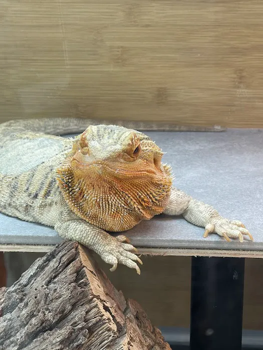 Pet Supplies Plus San Antonio - Bulverde Picture 3