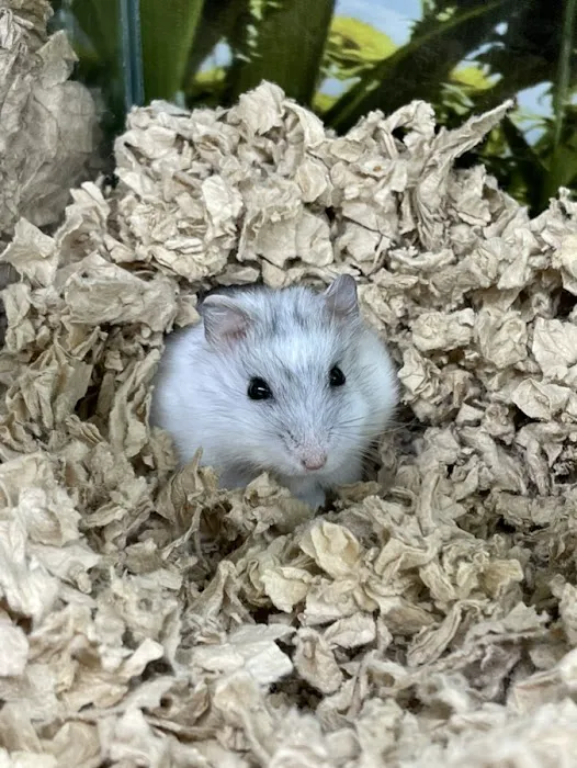 Pet Supplies Plus San Antonio - Bulverde Picture 7