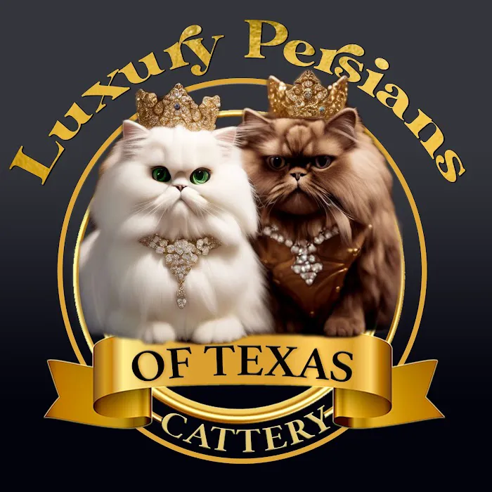 Luxury Persians of Texas Picture 2