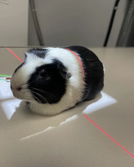Centre Animal Hospital Picture 10