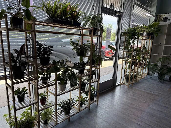 Don's Tropical Pets & Plants Picture 1