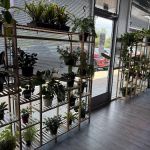 Don's Tropical Pets & Plants