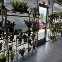 Don's Tropical Pets & Plants ico