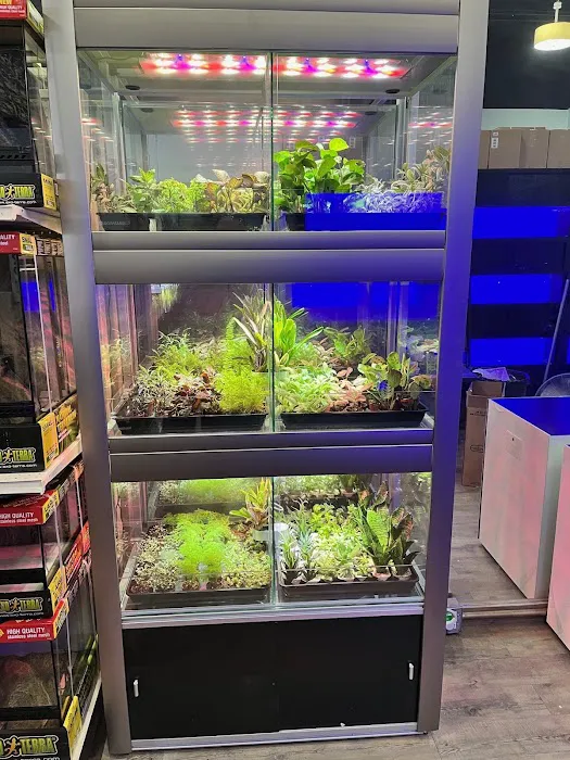 Don's Tropical Pets & Plants Picture 5