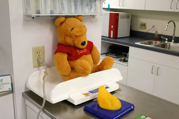 State College Veterinary Hospital Picture 7