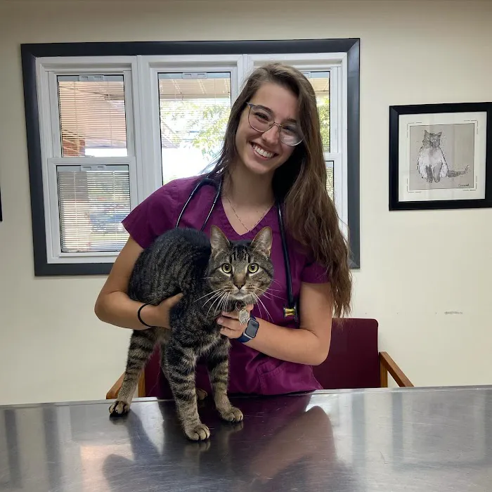 State College Veterinary Hospital Picture 9