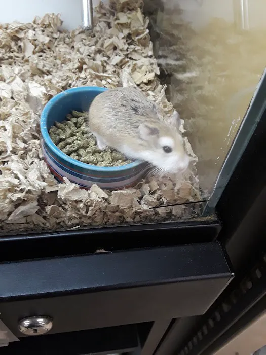 Petco Picture 5