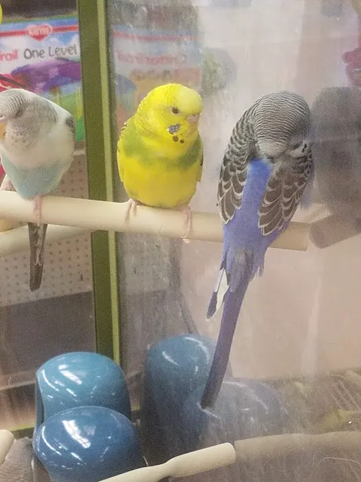 Petco Picture 2