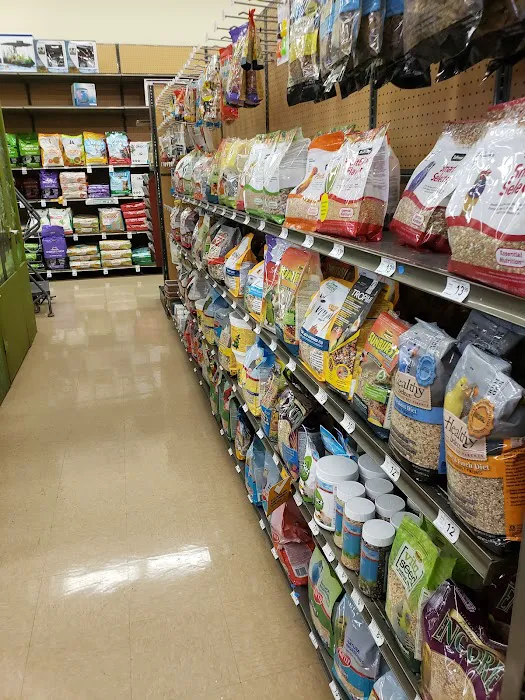 Petco Picture 10