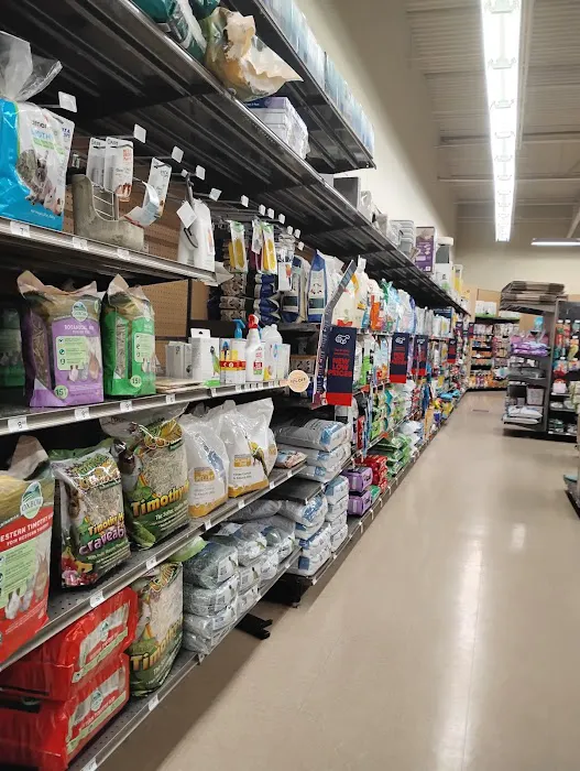 Petco Picture 3
