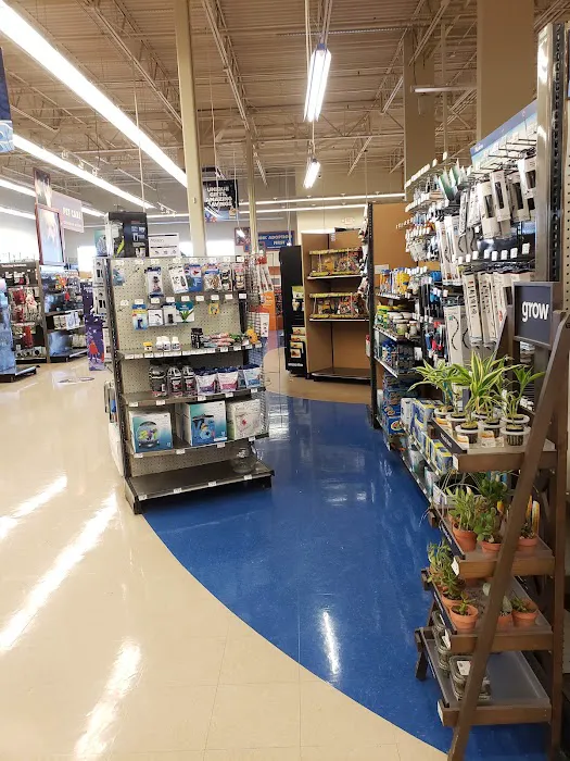 Petco Picture 9