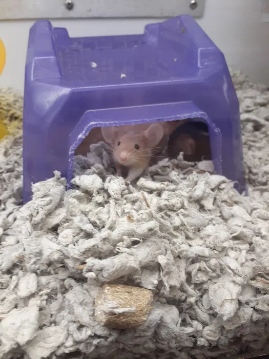 Petco Picture 7