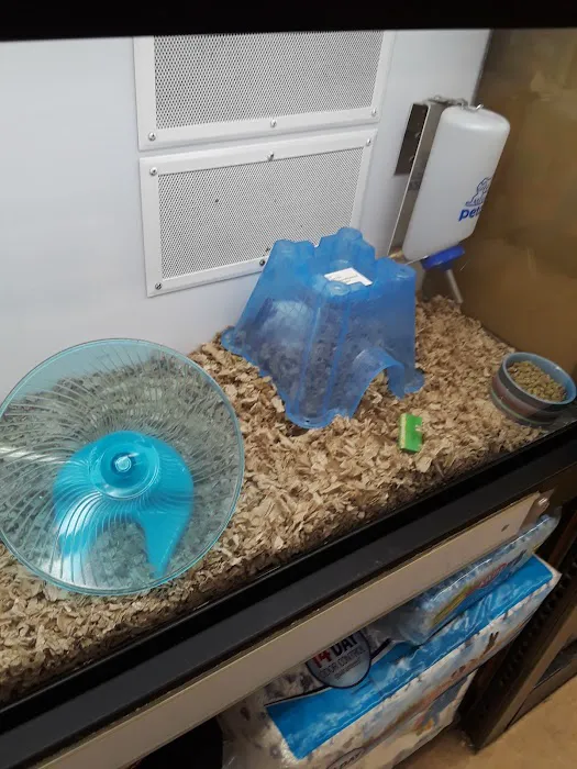 Petco Picture 4