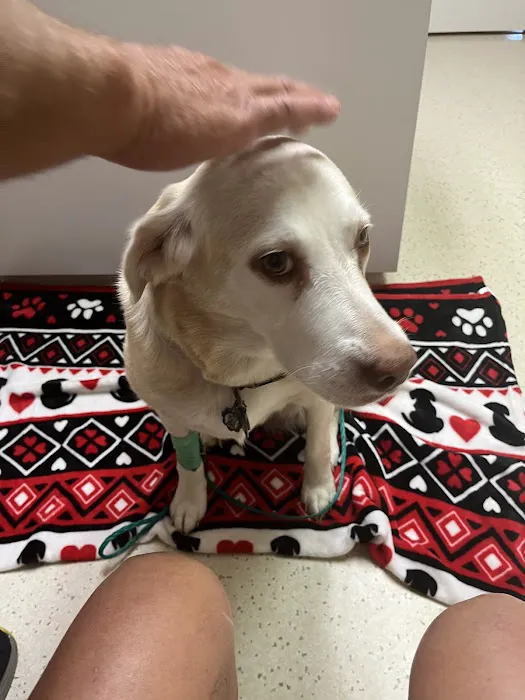Animal Medical Center of Nittany Valley Picture 10