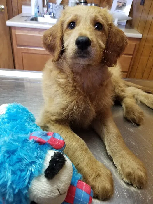 Fishing Creek Veterinary Center Picture 7