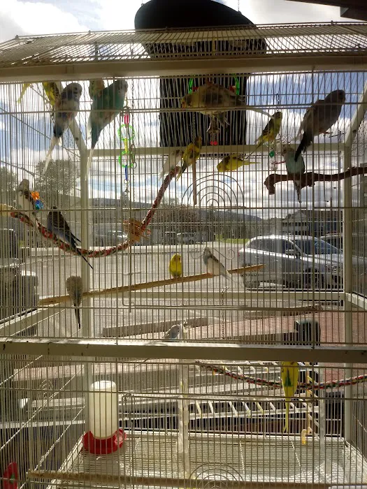 Calico Creek Veterinary Clinic Picture 8