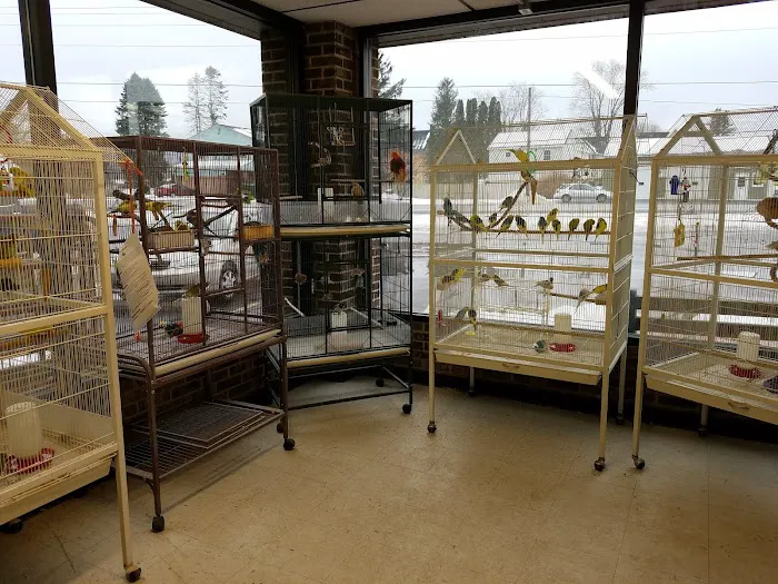 Calico Creek Veterinary Clinic Picture 3