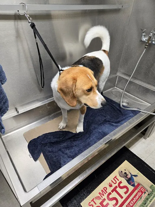 Calico Creek Veterinary Clinic Picture 6