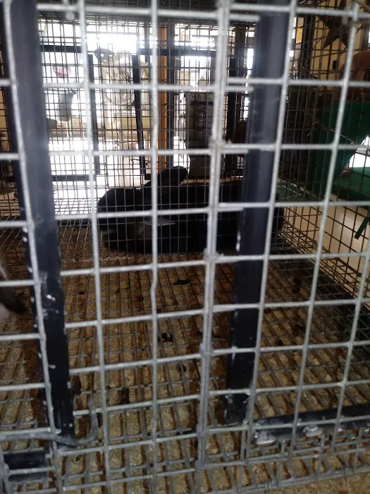 Calico Creek Veterinary Clinic Picture 10
